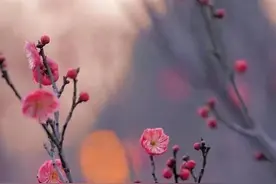 人这一辈子，简单点，糊涂点，就幸福了图片