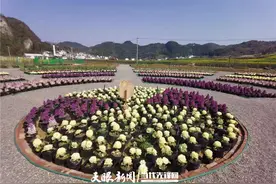 又是春暖花开时！贵阳这个新晋网红打卡地太美啦图片