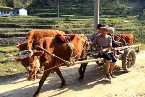 “牛人”啥意思？中国古代历史上最奇葩官职之二