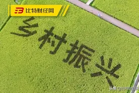 假机构！假方案！国家乡村振兴局辟谣！！千万不要上当受骗图片