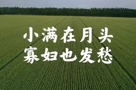 四月初三小满不一般，老话“小满在月头，寡妇也发愁”，啥说法？图片