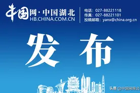 湖北省人民代表大会常务委员会决定任免的名单图片