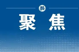 这些人乘坐公共交通，免费！图片