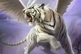我们一起来探讨探讨上古四大神兽是怎么来的呢？图片