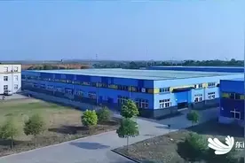 真的假的，大蒜能给鱼治病？图片