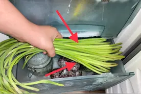 把蒜苔放冰箱冷冻室里保存，教你正确做法，放一个月都新鲜图片