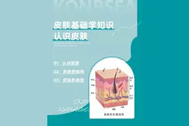 第一集 认识皮肤（了解皮肤结构）图片