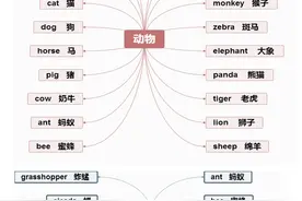 英语必考800词，可打印图片