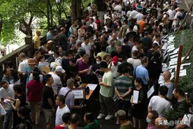 探访重庆主城最大的相亲角，场面仿佛赶集图片