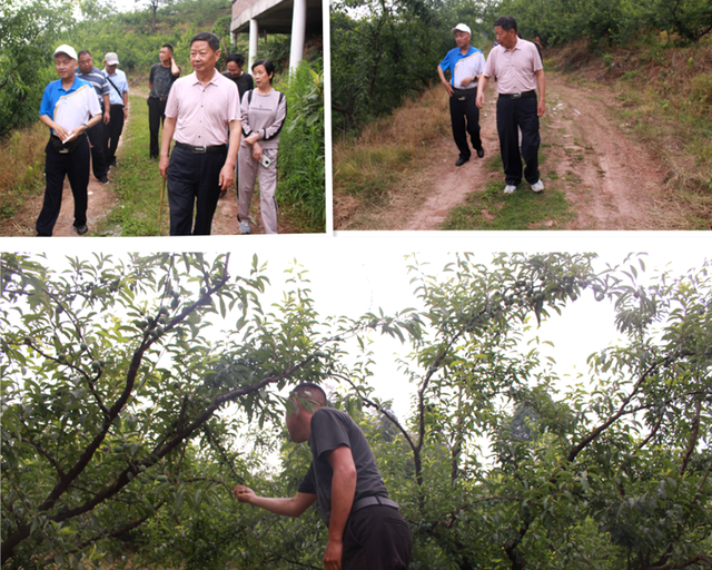 四川省民生研究会新媒体中心-官网