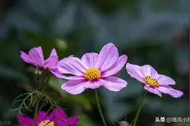 满月宴，婆婆把我的娘家人安排在小宾馆，哥哥立即带我母子俩回家图片