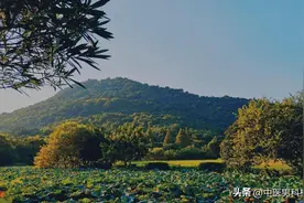 宗筋痿弱不起，海绵体供血不足？一方大补气血增时加硬图片