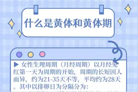 什么是黄体和黄体期？图片
