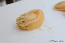 鲍鱼：新西兰鲍鱼泛滥，为什么它依旧是奢侈食材？图片