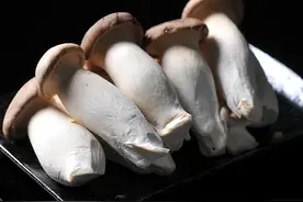 别说杏鲍菇难吃，这样做，彻底改掉不吃菇的习惯图片