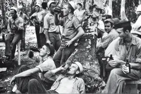 关于啤酒的这些冷知识，你知道几个？图片