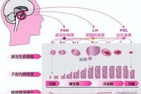 谈谈月经的调理图片