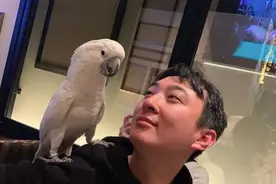 曝王思聪吃回头草，与演员前女友陈米麒复合，靠狗维情长达2年半图片