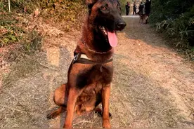 “哎，站住！你这是……烤肠吧？”图片