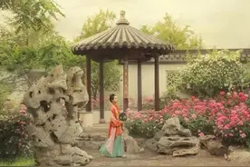 你知道人生若只如初见下一句吗？图片