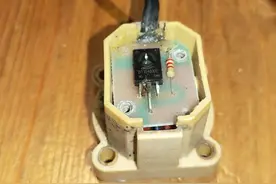 一只蚂蚁豁出性命摧毁了我的增压泵图片