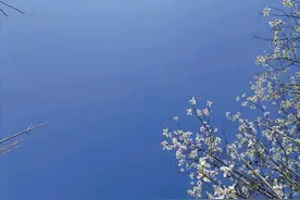 病理生理学（一）图片