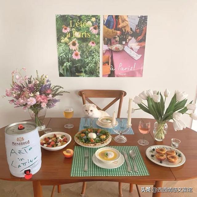 �ʺϷ�����Ȧ����ů�����İ�