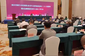 重庆银保监局召开银行业保险业稳金融稳经济大盘工作会议，学习贯彻党的二十大精神图片