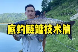 鰱鳙底钓 简单易学易会鱼获多！图片