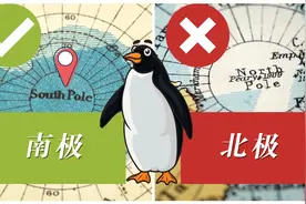 企鹅为何不能生活在北极？1936年，一位科学家将69只企鹅带到北极图片