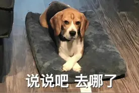 适合给对象发的表情包图片