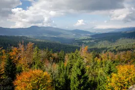 高考戏剧：品味人物语言图片