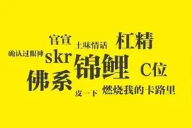 “发疯文学”催发货，这些造梗文化会污染我们的语言环境吗？图片