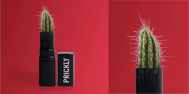 Ʒ�Ʋ߻�������Щ���ݣ�