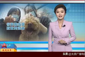 【今天我当班 致敬劳动者】记者体验宠物美容师：源于热爱 贵在坚持图片