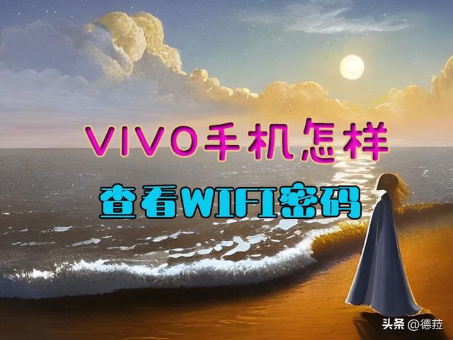 vivo手机wifi密码怎么查看（vivo手机怎样查看已连接wifi的密码）