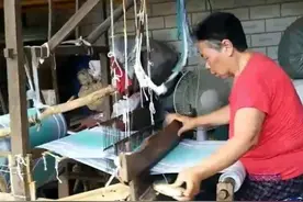 棉花是怎么变成布的图片