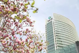 嗨，我叫中国人寿！这是我的新简历图片