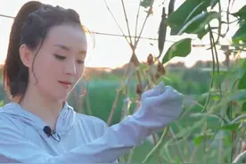 48岁王艳下地干农活惹争议，全副武装化浓妆，被指十指不沾阳春水图片