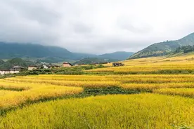 拆除农村土灶，4大危害要熟知！为啥村中建房、翻修也不允许了？图片