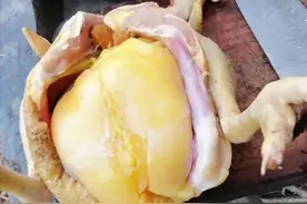 杀鸡时：发现鸡肚里有块大“黄油”，是吃还是扔？看完你就明白了图片