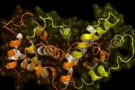 人类身上竟然携带着随时都有可能爆发的丧尸病毒？它在哪？图片