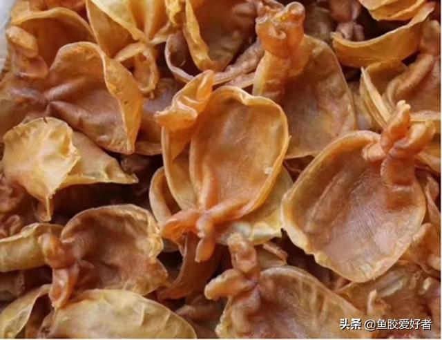 泰国会买到假花胶吗 2026年泰国会买到假花胶吗为什么