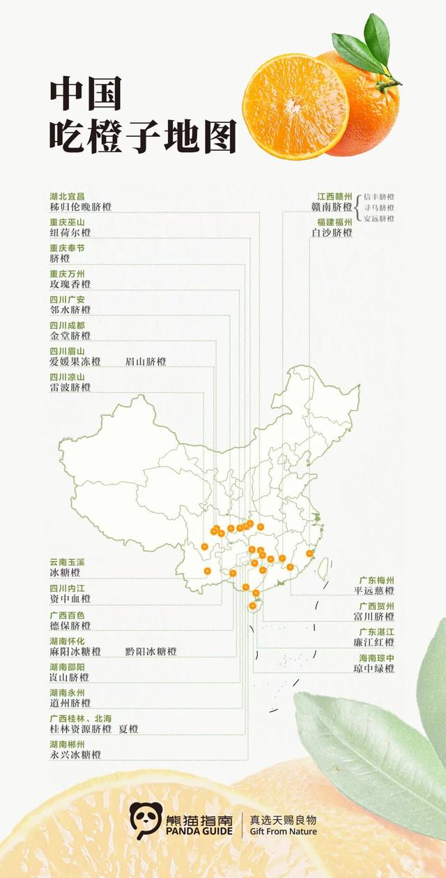 中国吃橙子地图