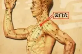 云门穴——宣肺止咳、化痰散结图片