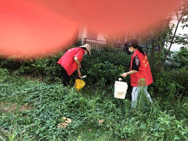 建党101周年东湖新技术开发区豹澥街分类专班黄金堂社区开展活动