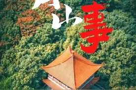 青山那些事｜新沟桥真的有“桥”？图片