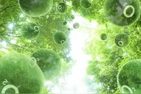 若地球氧气含量翻倍，人类将面临灭顶之灾？蜻蜓都能轻易举起我们图片
