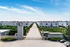 安阳第三家！翔宇医疗荣登“国家企业技术中心”公示名单图片