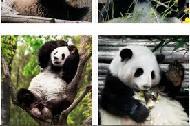 这套“旅游达人”等级测试（全国卷） 你能答对几道？图片